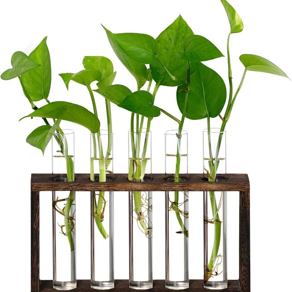 Wall Hanging Terrarium Planter with 5 Test Tubes,Wall Planters for Indoor Plants